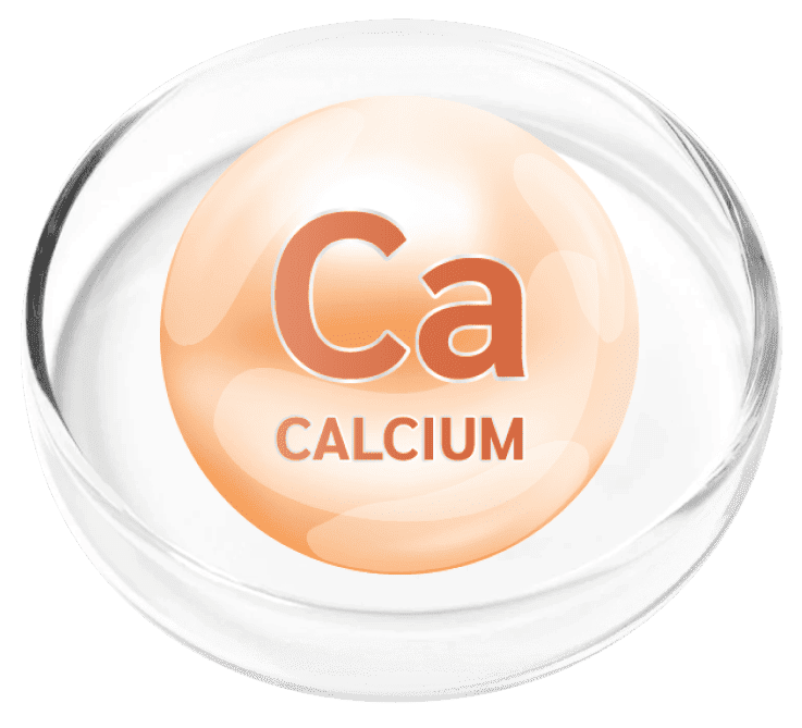 Calcium ingredient in OxyDental Pro