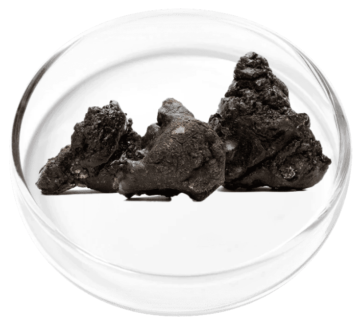 Shilajit ingredient in OxyDental Pro